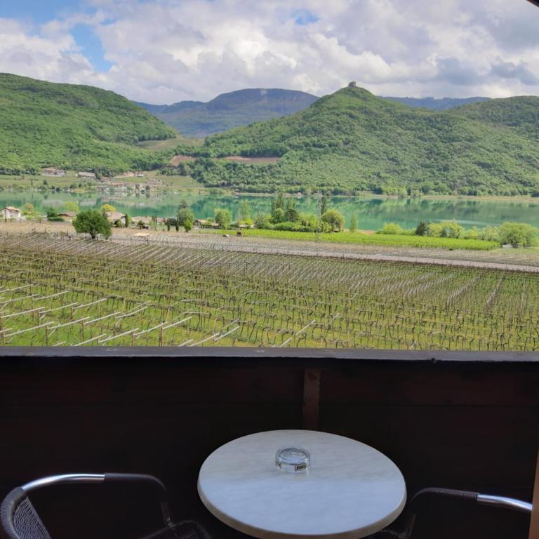 Pension Hasslhof - Double Room - 14