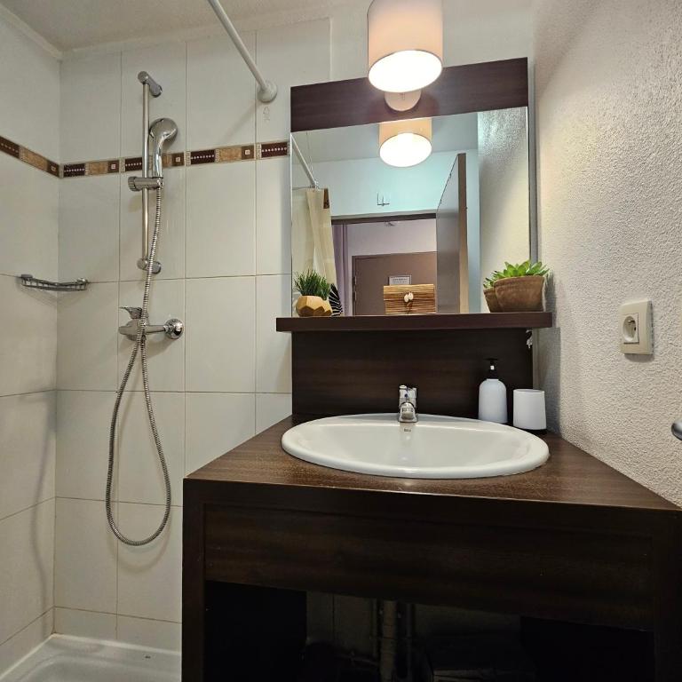 A116 Appartement disneyland Paris T1 - Appartement 1 Chambre - 9
