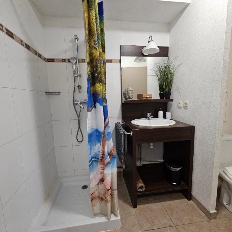 A112 Appartement Proche Disneyland Paris - Appartement 1 Chambre - 14