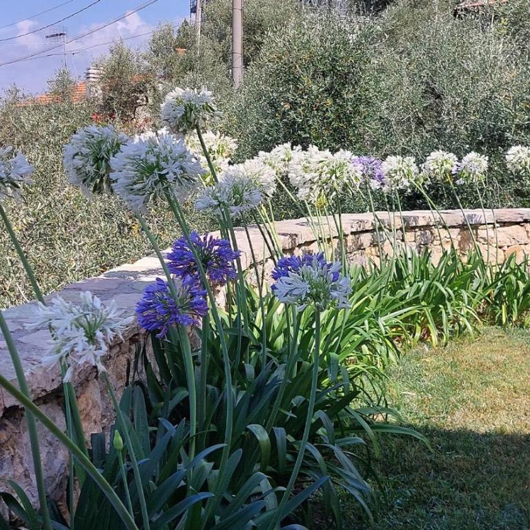 Miralunga la Villetta - Villa - 21