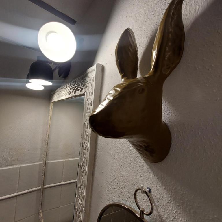 Loft con Alma Córdoba Centro - Apartamento de 1 dormitorio - 22