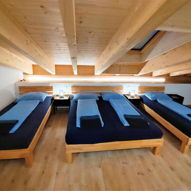 Landhaus am Schindelberglift - Deluxe Suite (Residenz) - 2