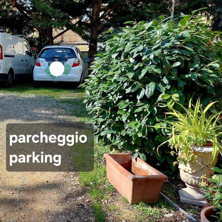 La Piccola Oasi con parcheggio - Appartamento - 18