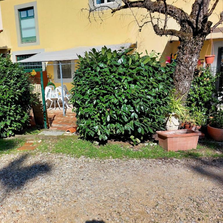 La Piccola Oasi con parcheggio - Appartamento - 49
