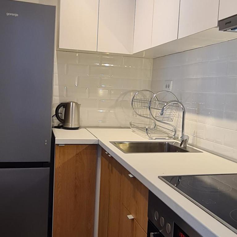 All In One Studio - Deluks Studio sa Bračnim Krevetom (King-size) - 11