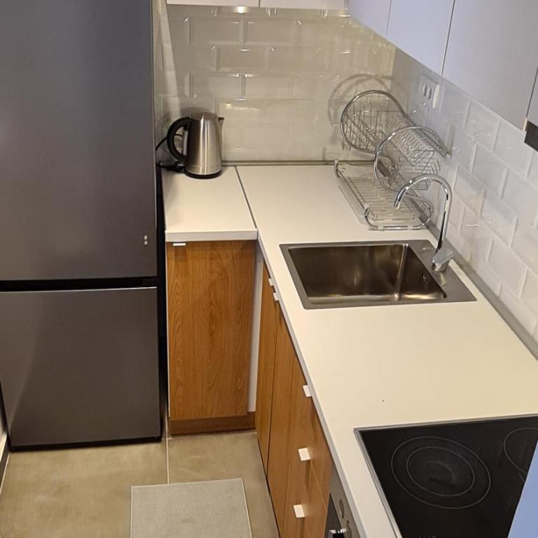 All In One Studio - Deluks Studio sa Bračnim Krevetom (King-size) - 12