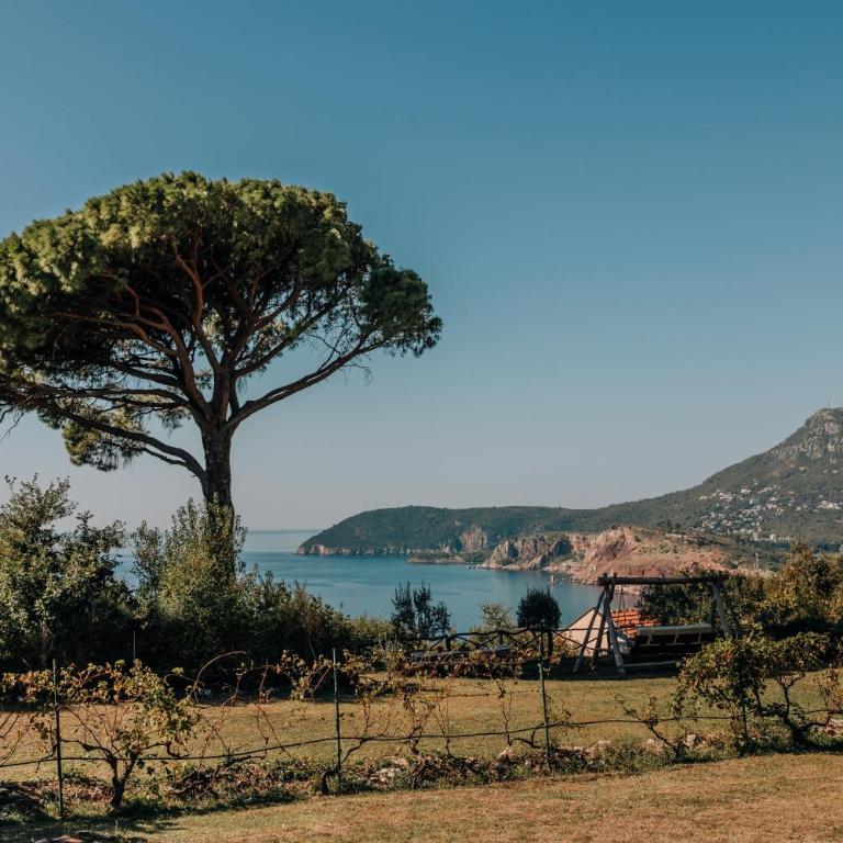 Talići Hill - Rustic Villas - Superior Vila sa Sopstvenim Balkonom - 8