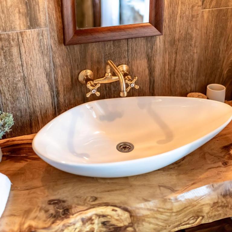Talići Hill - Rustic Villas - Superior Vila sa Sopstvenim Balkonom - 37