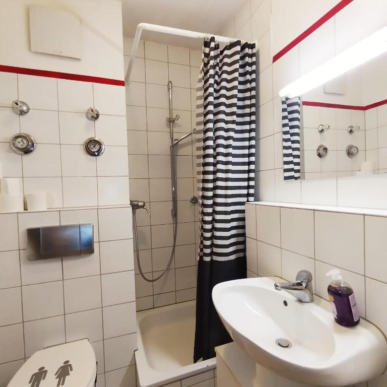 Nettes Apartment in Würzburg - Apartment mit Dusche - 6