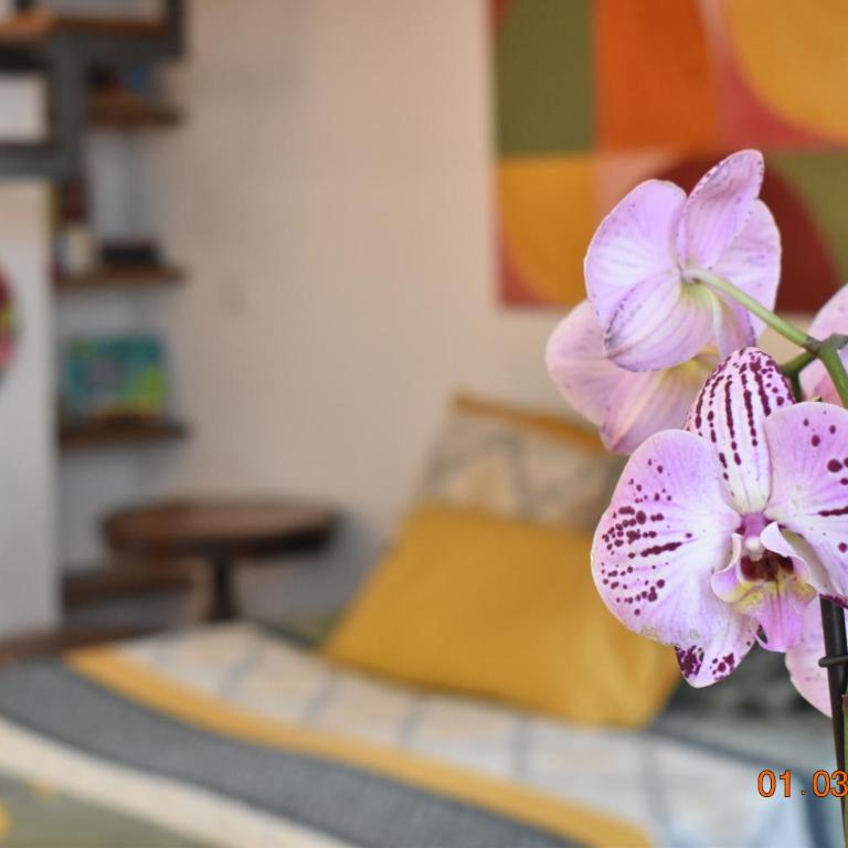 Trastevere St Ariabianca House - Two-Bedroom Apartment - 34