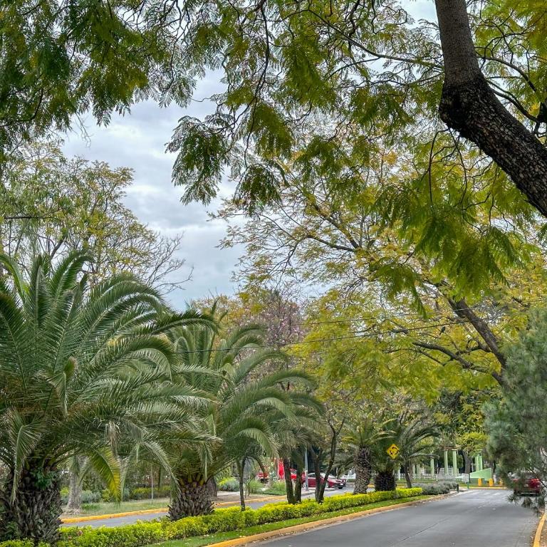 Loft Privado con Cocina, Vive Chapalita 3 - One-Bedroom Apartment - 13