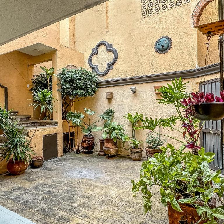 Loft Privado con Cocina, Vive Chapalita 3 - One-Bedroom Apartment - 11