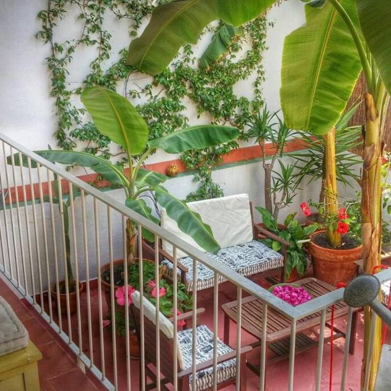 Preciosa casa en el centro con terraza y patio - Apartamento - 19