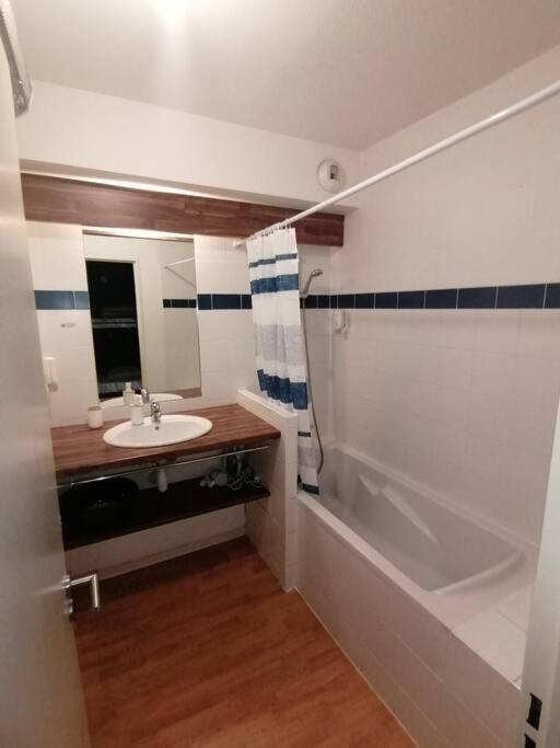 Appartement de la Marmotte Cendrée, dans résidence de tourisme 3 étoiles - Studio - 11