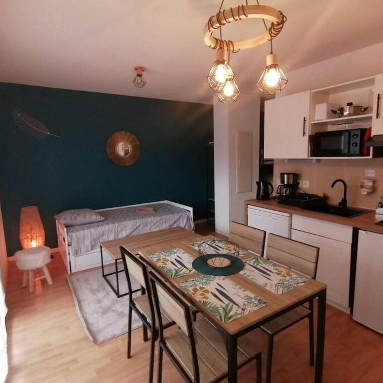 Appartement de la Marmotte Cendrée, dans résidence de tourisme 3 étoiles - Studio - 4