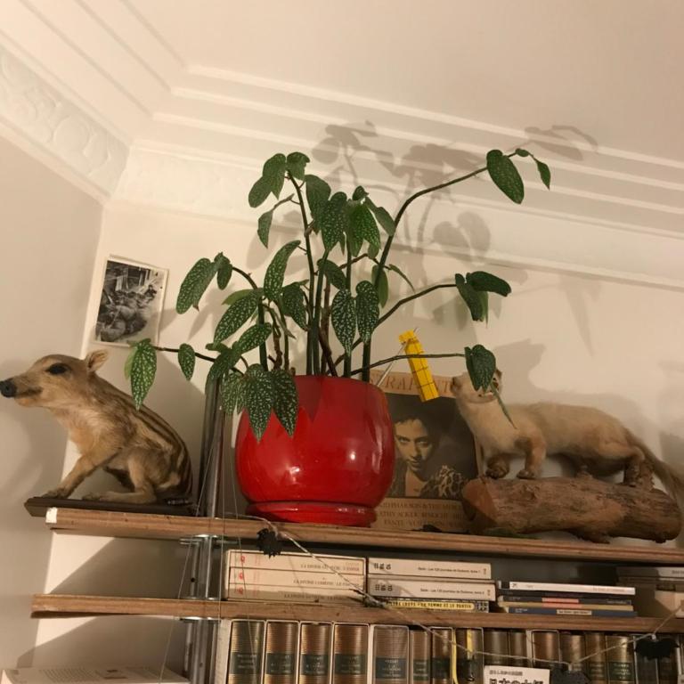Le Nid D'Aigle - Appartement 1 Chambre - 21