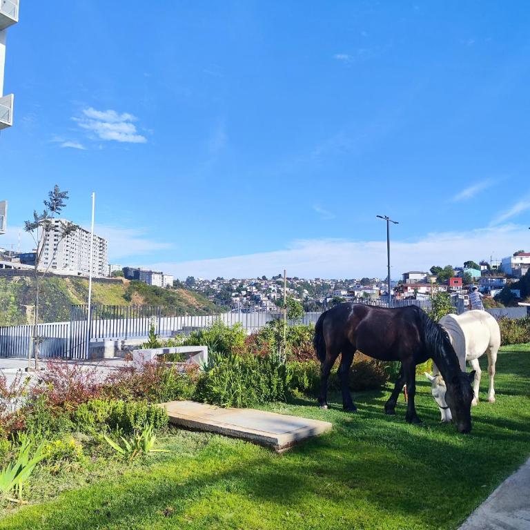 Alojamiento boutique , Valparaíso 402 - One-Bedroom Apartment - 14