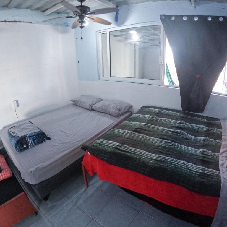Mini Hostal Cultural de Mazatlán - Quadruple Room with Terrace - 5