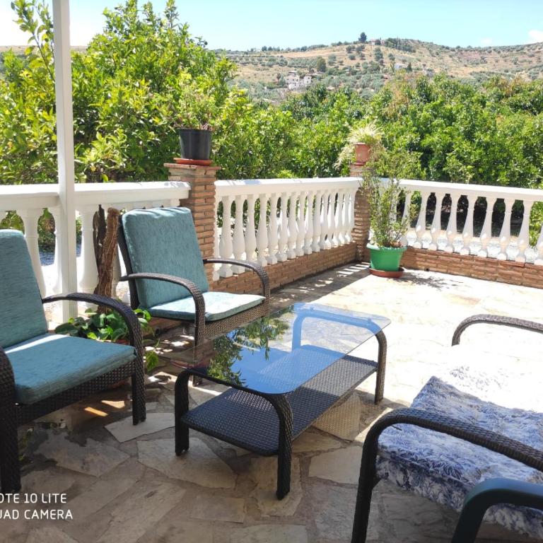 Los Olivos - Casa de 3 dormitorios - 25