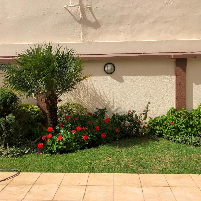 Elite Apartment - Apartamento de 3 dormitorios - 35