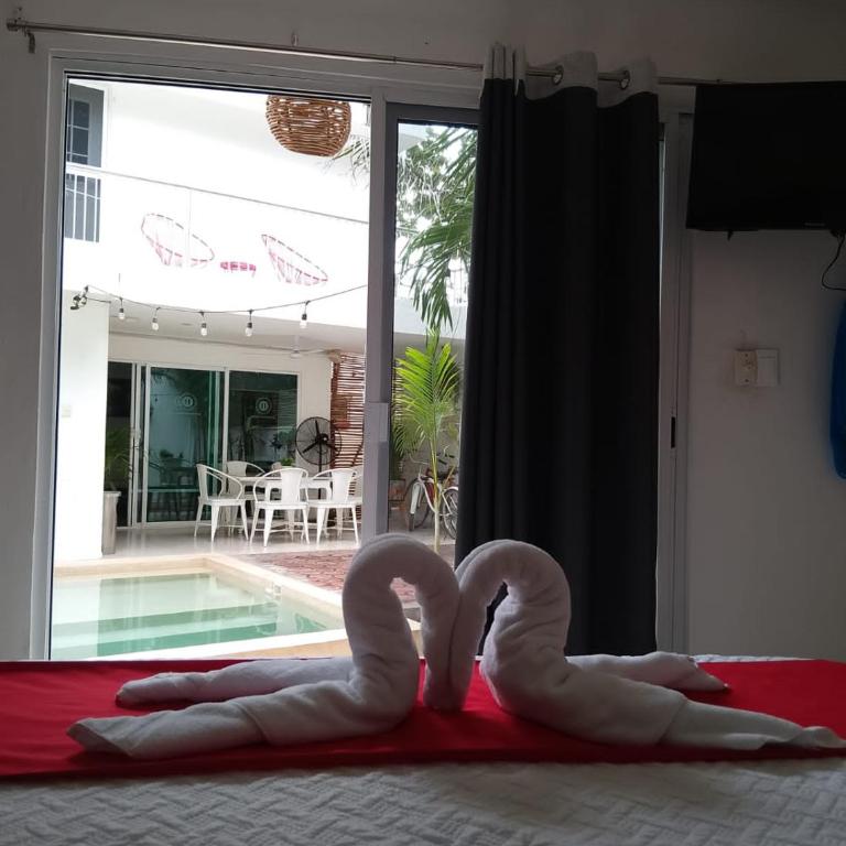 Hotel Downtown Merida - Budget Double or Twin Room - 13