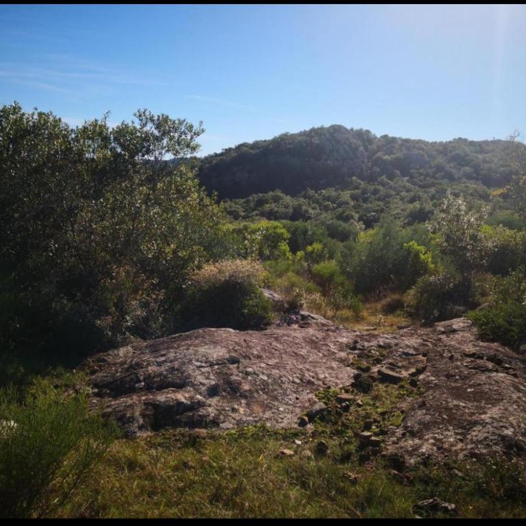 Alma Mía - One-Bedroom House - 5