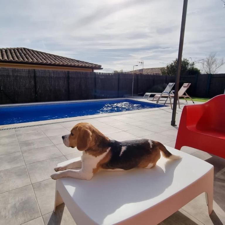 Villas Medes Mar - Plus Costa Brava - Three-Bedroom Villa with Private Pool - 18