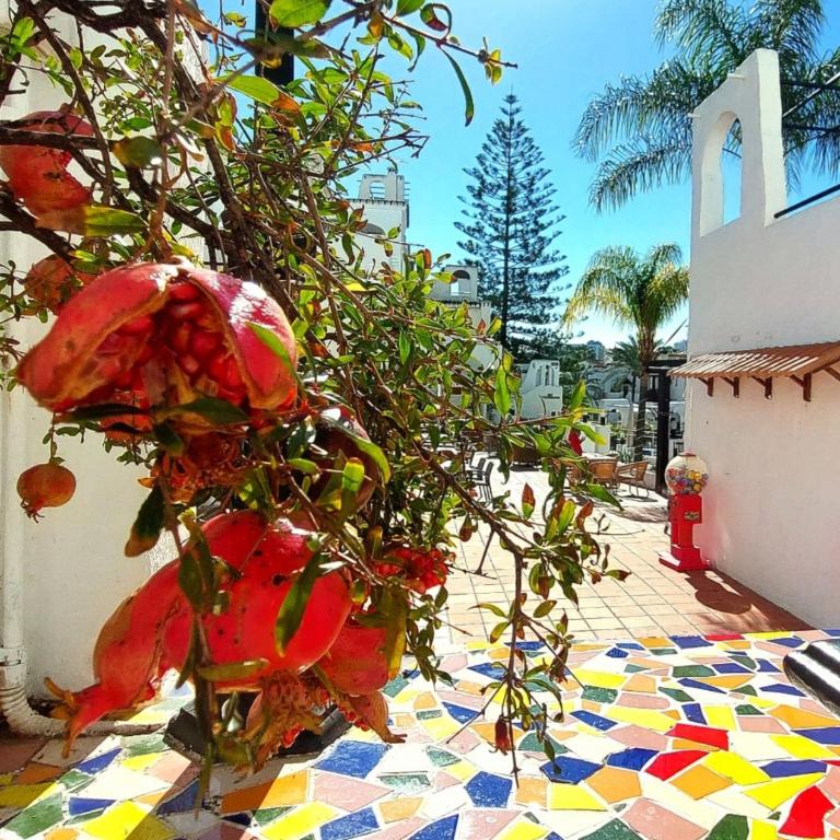 Estudio PasoDoble. Pueblo Evita - One-Bedroom Apartment - 38