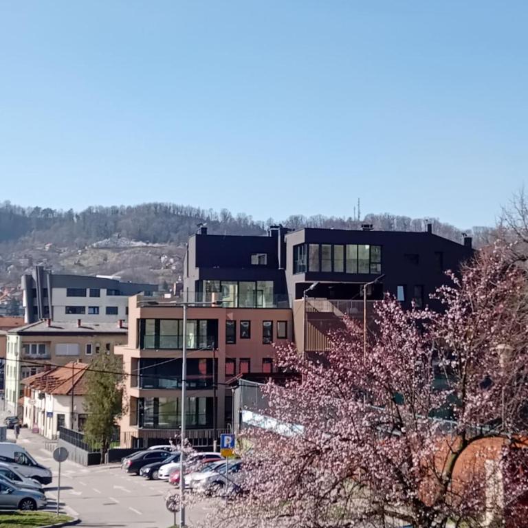 AS apartman Panonica - Apartman sa 1 Spavaćom Sobom - 19