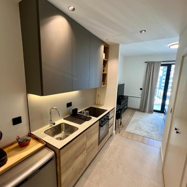 BW407 with parking - Apartman sa 1 Spavaćom Sobom - 5