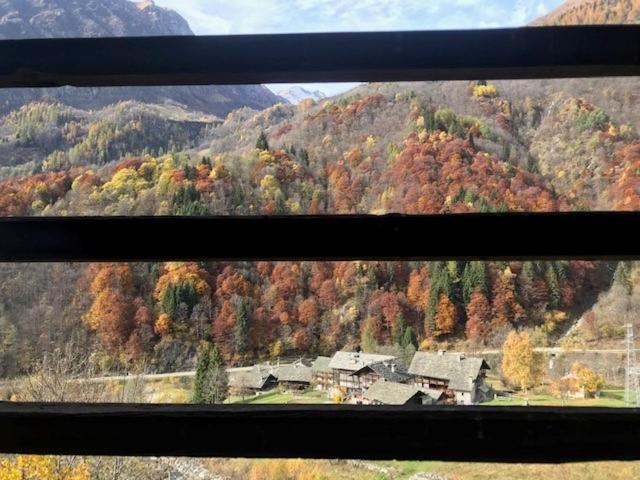 Cozy 500 Years Old Walser Home - Appartamento con 3 Camere da Letto - 5