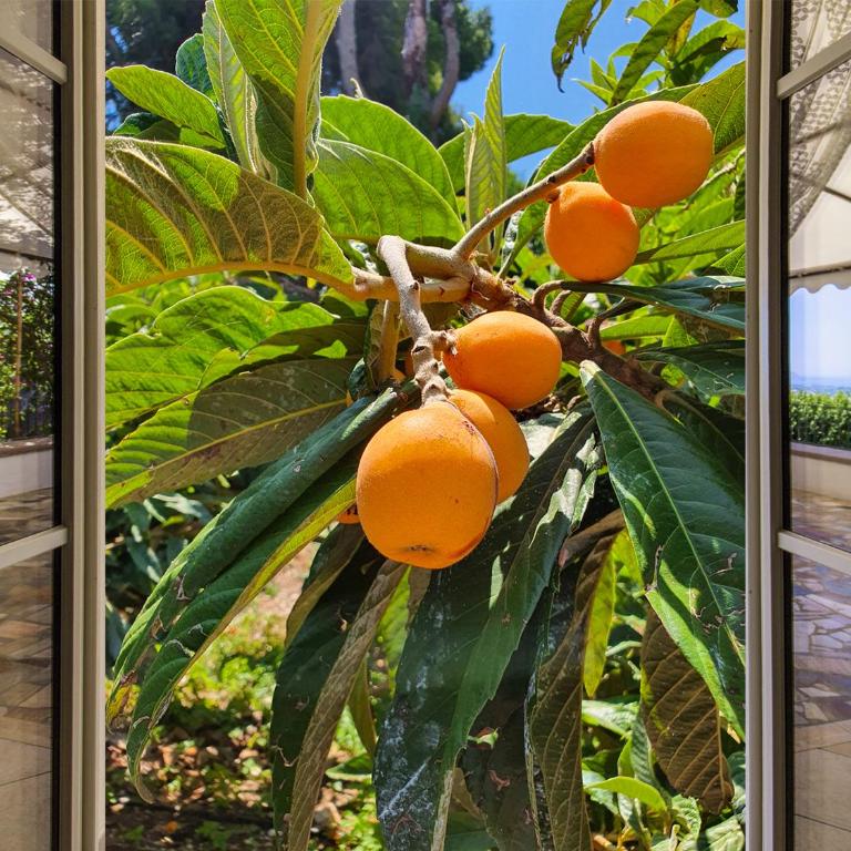 Villa Tommaso Maruggi, Sicilia, con Jacuzzi e piscina privata - Villa mit 4 Schlafzimmern und Gartenblick - 61