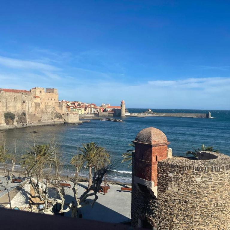 3CONV48- Charmant T2 avec vue imprenable en face plage Collioure - Apartment mit Meerblick - 17