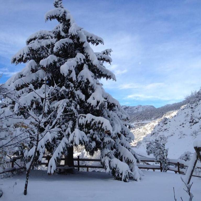 Magnificent spacious 4 bedroom mountain chalet with spa, free EV plug -in - Villa - 37