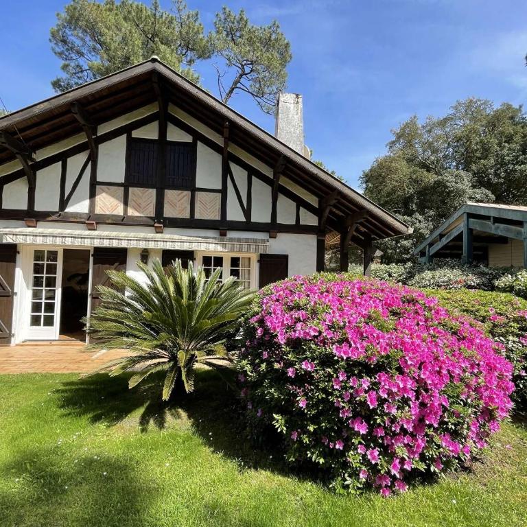 Réf 143 Seignosse Estagnots, Villa" Assouinde" classée 4 étoiles avec Wifi pour 9 personnes au calme à proximité de la plage - Five-Bedroom House - 8