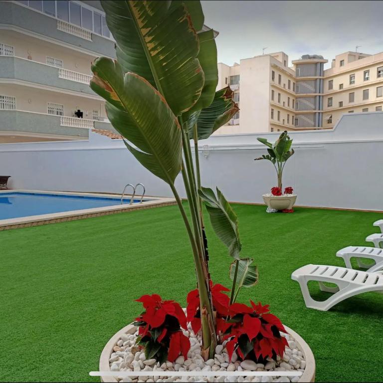 Exclusive Penthouse Pool & Beach - Lovely for families - Los Pinos Residential - Apartamento de 3 dormitorios - 19