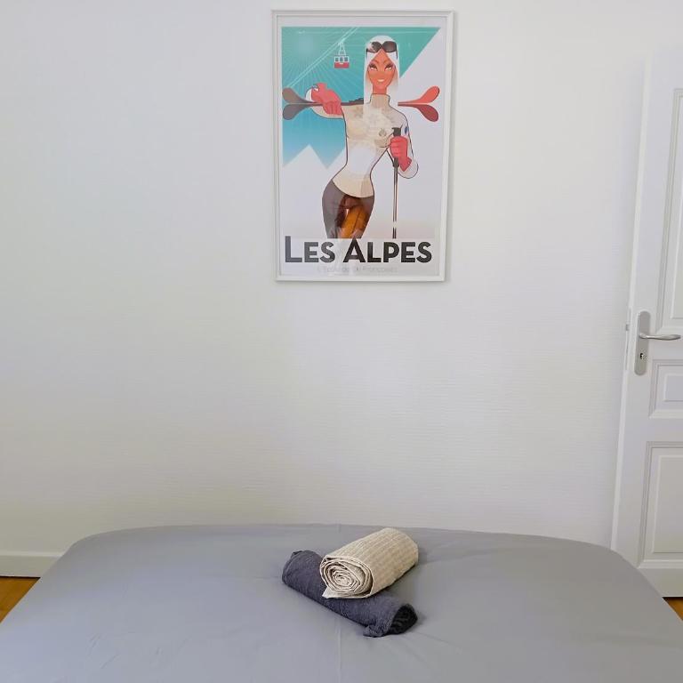 101 - Appart rénové avec 1 chambre spacieuse - Tram et Clinique Mutualiste à 1 min - Appartement 1 Chambre - 3