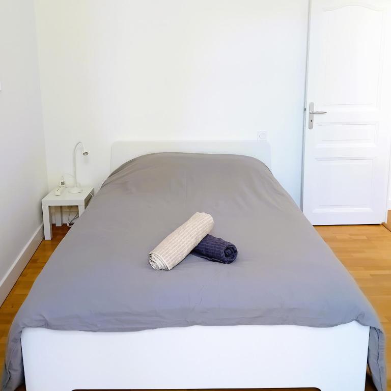 101 - Appart rénové avec 1 chambre spacieuse - Tram et Clinique Mutualiste à 1 min - Appartement 1 Chambre - 12