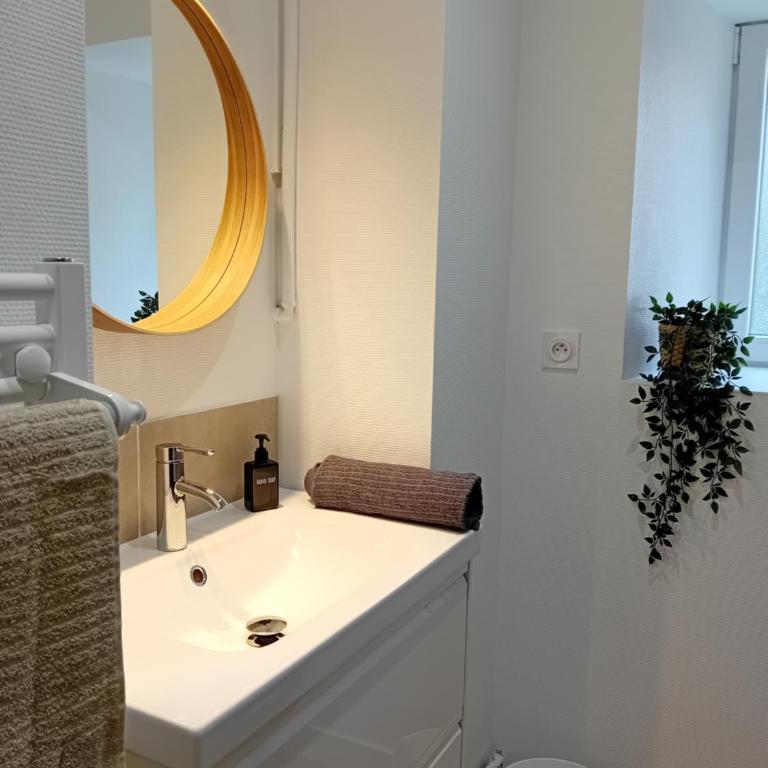 101 - Appart rénové avec 1 chambre spacieuse - Tram et Clinique Mutualiste à 1 min - Appartement 1 Chambre - 5