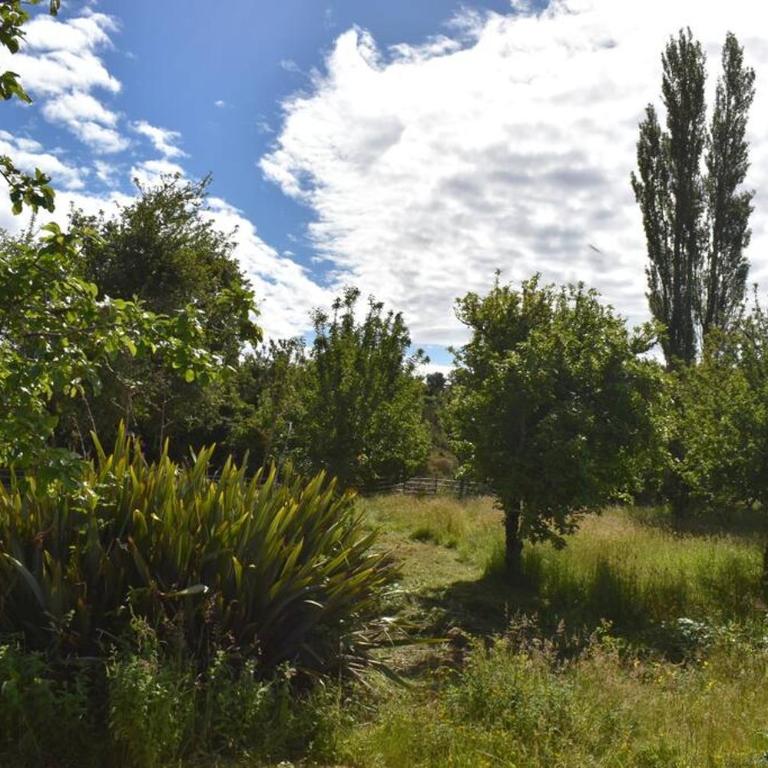 Beautiful Don Pedro Cabin, Chilean Patagonia. - Two-Bedroom House - 11