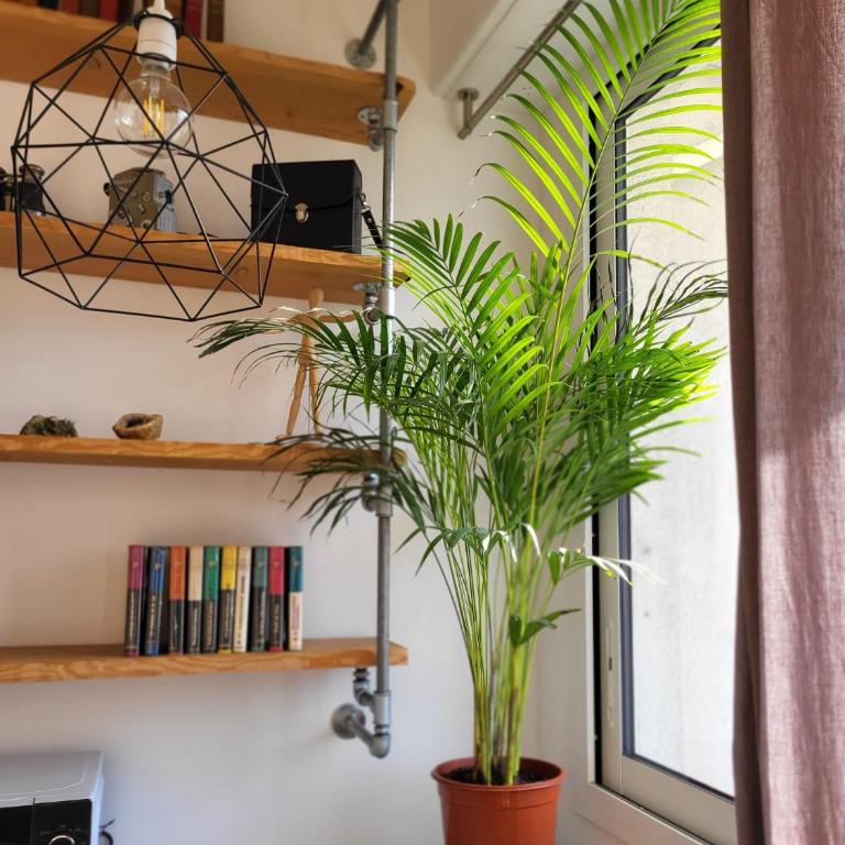 #TheCosyStudio06 Meyerbeer Promenade Negresco - Appartement 1 Chambre - 13