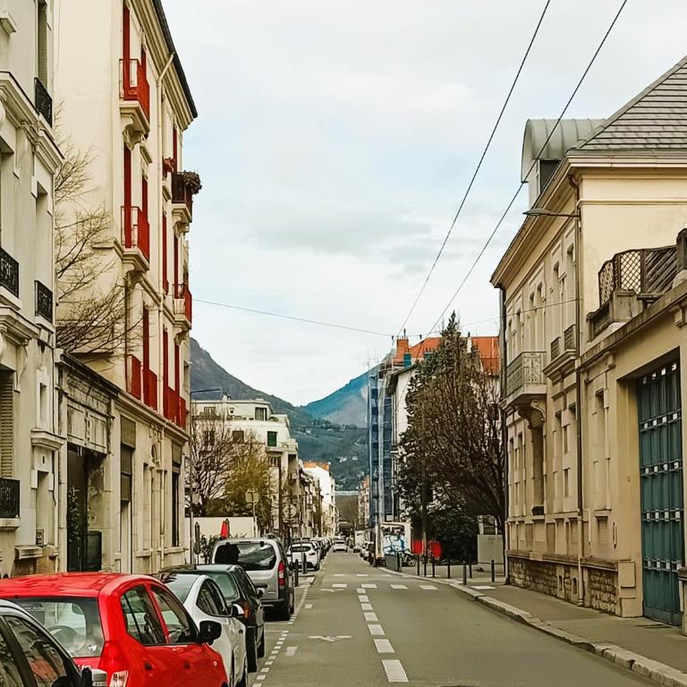 101 - Appart rénové avec 1 chambre spacieuse - Tram et Clinique Mutualiste à 1 min - Appartement 1 Chambre - 26
