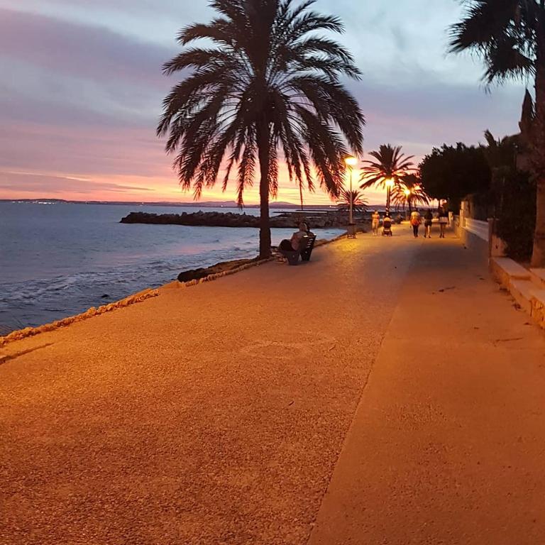 Amanecer viendo Tabarca vistas al mar - Apartamento de 2 dormitorios - 29