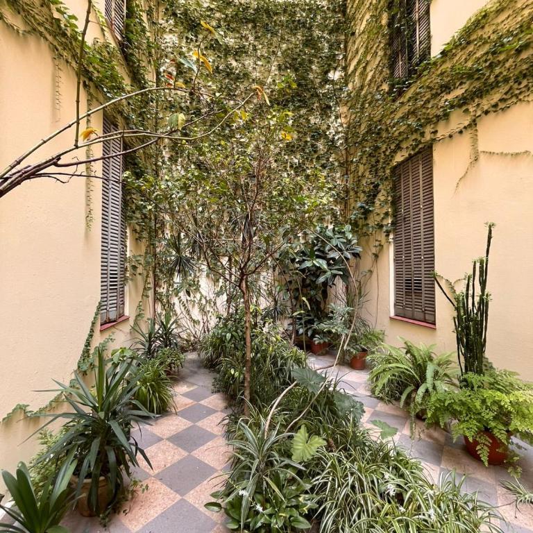 Cozy apartment in San Telmo. - Apartamento - Planta baja - 10