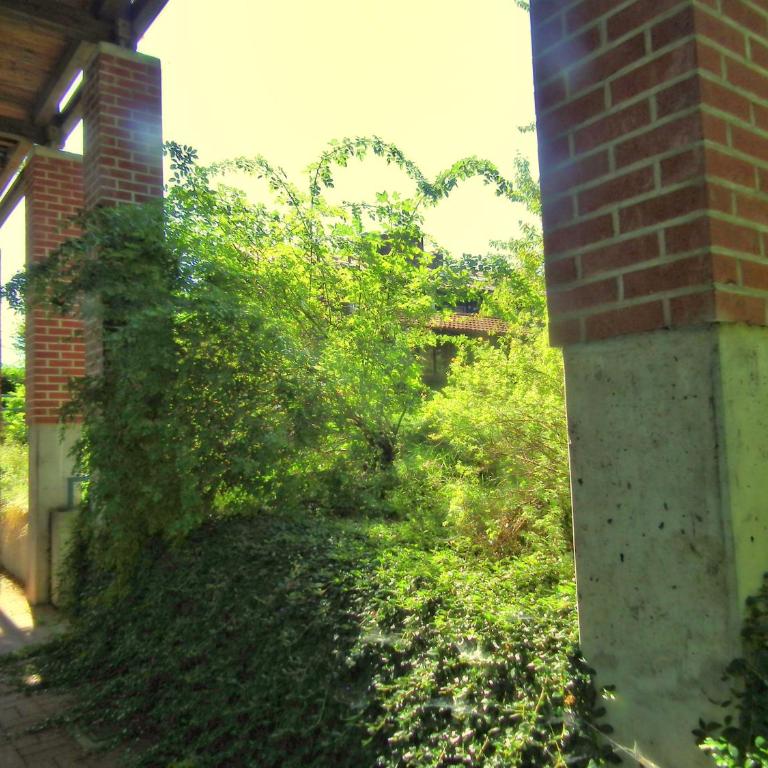 Gästehaus zur Färbe Apartments - Apartment mit 1 Schlafzimmer und Terrasse - Keller - 1