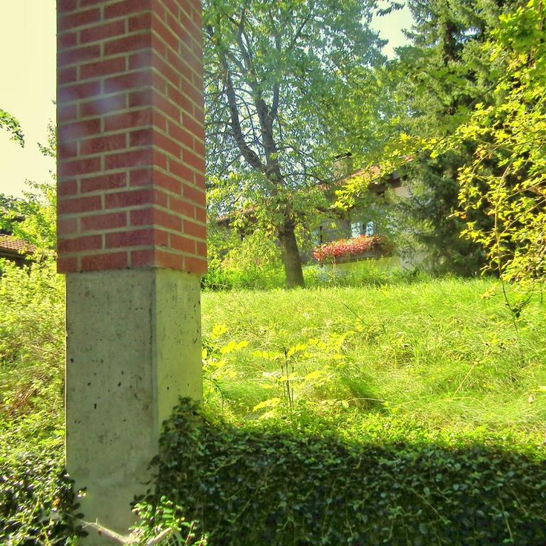 Gästehaus zur Färbe Apartments - Apartment mit 1 Schlafzimmer und Terrasse - Keller - 2