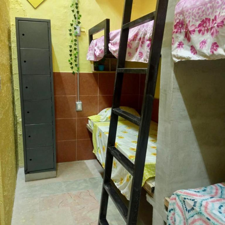 Hostal Republic - Bed in 4-Bed Female Dormitory Room - 2