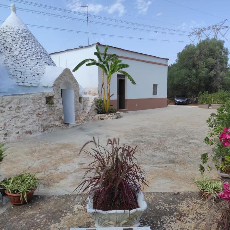 Il trullo di nonno Mingo - Casa con 2 Camere da Letto - 1