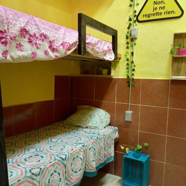 Hostal Republic - Bed in 4-Bed Female Dormitory Room - 1
