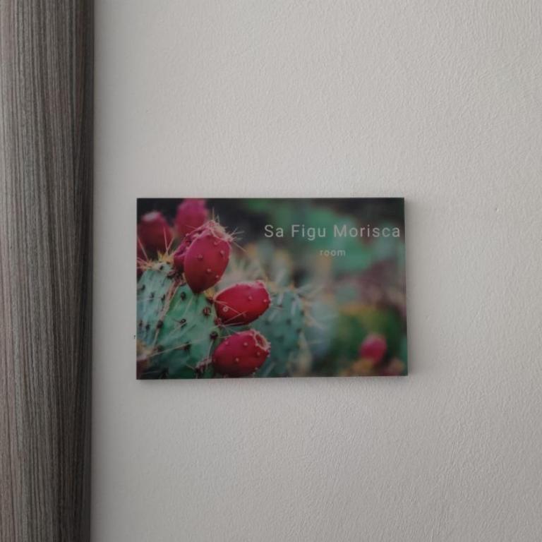 Sa Mama 'e Su Sole - Single Room with Private Bathroom - 9